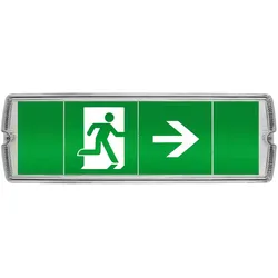 Not- und Sicherheitsleuchte, LEDs/3W, 70 lm,Notlicht >3 Stunden