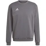 adidas Entrada 22 Sweatshirt Team Grey Four 2XL