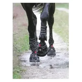 equine fusion as Equine Fusion Hufschuh Trekking Slim 10 cm