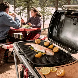 WEBER Traveler