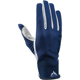 Leki Alpino Guide Premium Blau 9