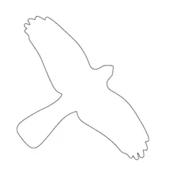 Vogelschutz Aufkleber für Fenster - 180x115 mm Folie selbstklebend