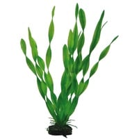 Dohse HOBBY Vallisneria 34 Centimeter