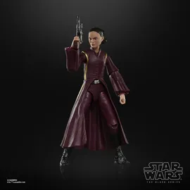 Hasbro Padmé Amidala Action-Figur 15 cm