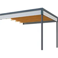 Weka Anbaudach für Gartenhaus Batu 3 hellgrau 300 x