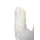 Reusch Raptor Pro Weiß 10