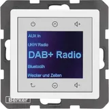 Berker Radio Touch UP DAB+ Q.x polarweiss samt