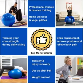 luxuskollektion Gymnastikball mit Fußpumpe, 55cm/65cm Anti-Burst Yoga