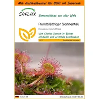 SAFLAX - Garden in the Bag - Rundblättriger Sonnentau