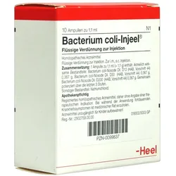 Bacterium COLI Injeel Ampullen 10 St