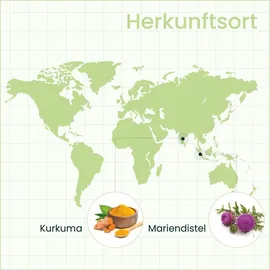 SanaExpert LeberVital Pro Kapseln 120 St.