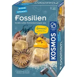 KOSMOS Fossilien