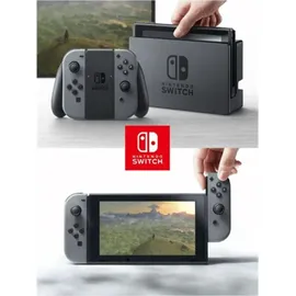 Nintendo Switch grau