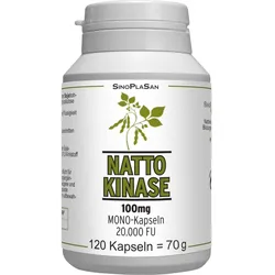 Natto Kinase 100mg 120 St Kapseln