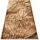 RugsX Teppich Bcf Morad PIEN Baum Holz - beige 300x400 cm,