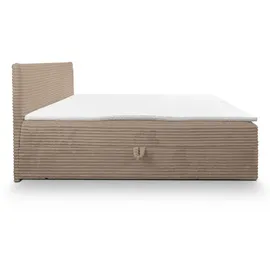 venasi TILLY 160 x 200 cm H2/H3 Braun