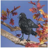 Folkmanis Handpuppen Folkmanis Crow / Krähe