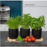 Novaliv Stilvolle Kräuterstation 9er Set mit Holzunterlage - Kräutertopf für jede Fensterbank, Für frische Küchenkräuter, Kräutergarten für di