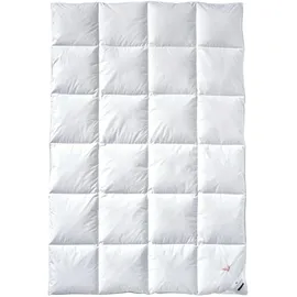 billerbeck E04 Gold Edition Kassette II 155 x 220 cm