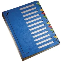 Leitz Pultordner DIN A4 24,5 cm Blau 12 St.