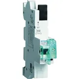 Hager SLS-Schalter 1P E-63A,für SS HTS163E