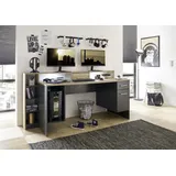 preisbrecher Schreibtisch Zockertisch Gamingdesk Computertisch Gamingtisch Tisch Thasos II"