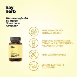 hay herb Gute Laune Kapseln 60 St.