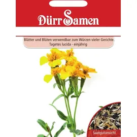 Dürr-Samen Würztagetes Saatgut