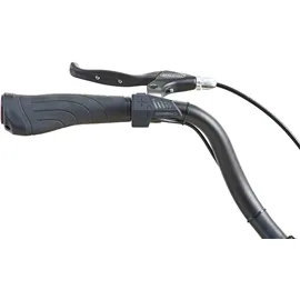 Prophete Geniesser 1.0 28 Zoll RH 49 cm Schwarz