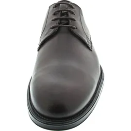 LLOYD DAVENPORT Braun | Gr.: 45.5