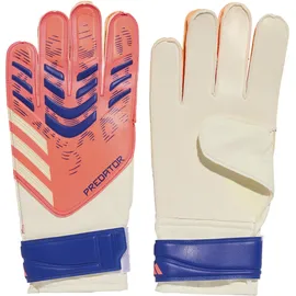 adidas Predator GL Training Signal Coral/White/Lucid Blue 8