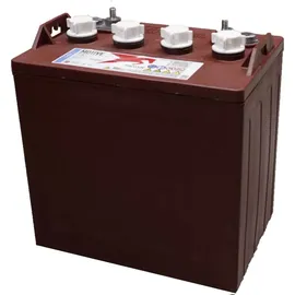 Trojan T-875 8V 170000 mAh 1 St.