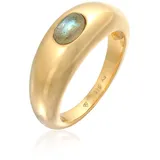 ELLI PREMIUM Elli Ring 925 Sterling Silber Siegelring in Gold | Gr.: 58