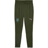 Puma Manchester City FC Trainingshose Herren 13 myrtle/bold blue S