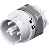 Wieland 46.052.5054.0 Rundstecker Stecker, Einbau Serie (Rundsteckverbinder): RST® MINI Gesamtpolzahl: 4 + PE 1 St.