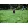 Hunter Divo Hundegeschirr Rot/Grau L