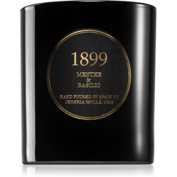 Cereria Mollá Premium Menthe & Basili Duftkerze 230 g