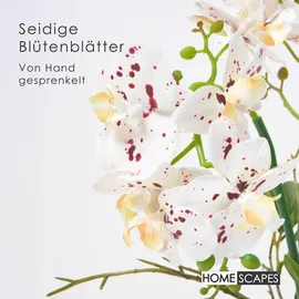 Homescapes Kunstblume, Orchidee weiß-pink im Glas-Topf, 42 cm