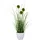 OTTO home Kunstgras OTTO HOME "Grasbusch, naturgetreue Kunstpflanze, 35cm hoch", grün (grün, weiß), H:35cm Ø:7,5cm, Kunststoff, Kunstpflanzen, im 3 teiligen Set, mit Übertopf wahlweise in schwarz oder weiß