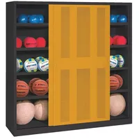 C+P Ballschrank mit Lochblech-Schiebetüren (Typ 4), HxBxT: 195x120x60 cm,