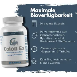 Exvital Colon Ex Kapseln 90 St.
