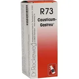 gastreu Causticum-Gastreu R73
