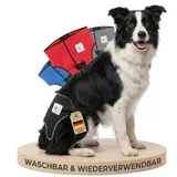 NATURE PET Premium Läufigkeitshose für Hündinnen – Hochwertige & Bequeme Hundewindeln für Hündinnen & Rüden – Waschbare Inkontinenz-Hundewindel ohne Einfädeln der Rute – M/Netz