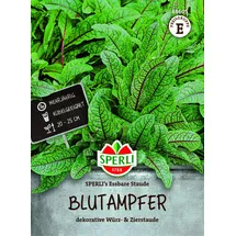 Tom-Garten Blutampfer, Essbare Staude