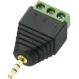 TRU Components Klinken-Steckverbinder 2.5mm Stecker, gerade Polzahl: 3 Stereo Schwarz 1St.