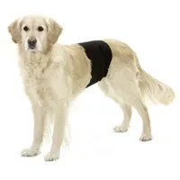 Karlie - Gentleman Wraps Schutzhose für Rüden 1 St