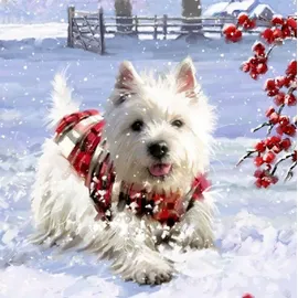 Coppenrath Verlag Wunderbare Hunde-Weihnacht Wand-Adventskalender