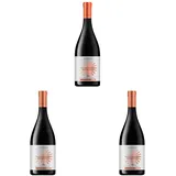 Famiglia Angelillo Negroamaro Primitivo Appassite IGT (1 x 0.75l) (Packung mit 3)