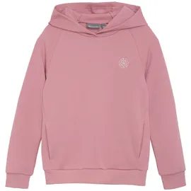 Color Kids Hoodie Purple 116