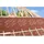 DÖRKEN DELTA-Maxx Plus Energiesparmembran 50x1,5m